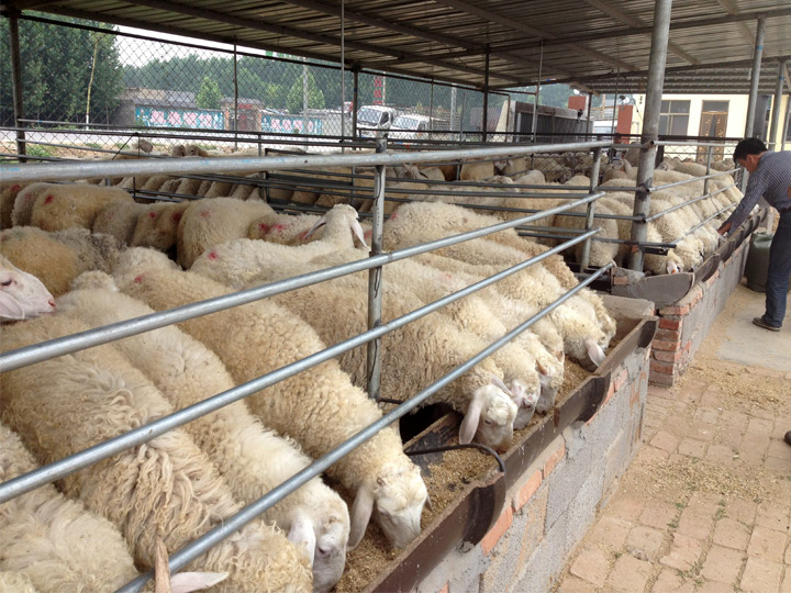 养殖场恒温空气能热水工程解决方案